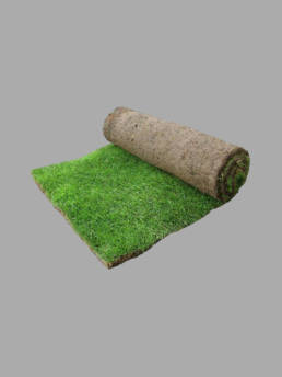 Regal Turf | Avoncrop Amenity Products