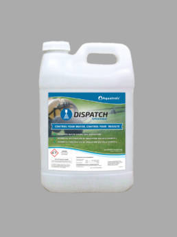 Dispatch | Avoncrop Amenity Products