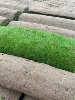 Tillers Turf | Avoncrop Amenity Products